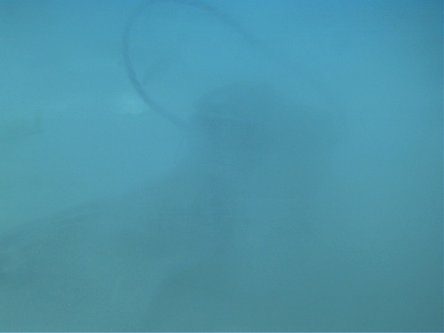 IMAG0116.JPG