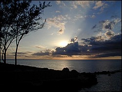 Cayman2002.JPG