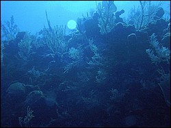 IMAG0008.JPG