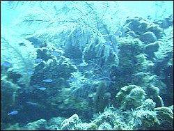 IMAG0016.JPG