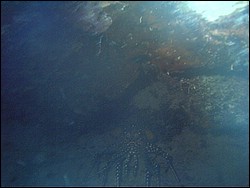 IMAG0032.JPG