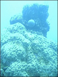 IMAG0066.JPG
