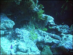 IMAG0087.JPG
