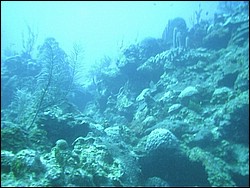 IMAG0092.JPG