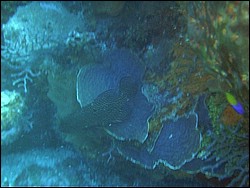 IMAG0093.JPG