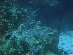 IMAG0101.JPG