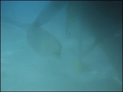 IMAG0114.JPG