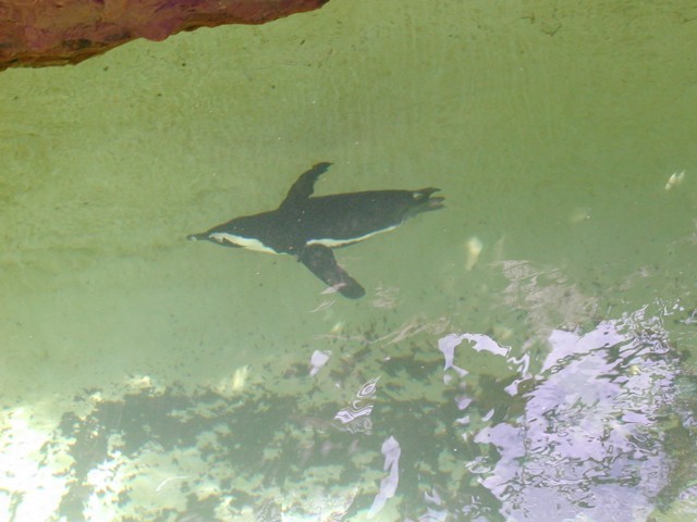 29070026.jpg