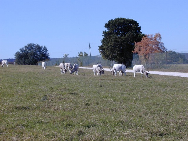 92120038.JPG