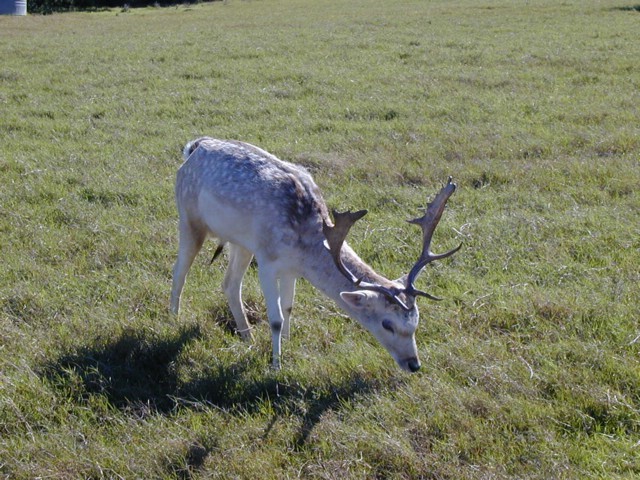92120039.JPG