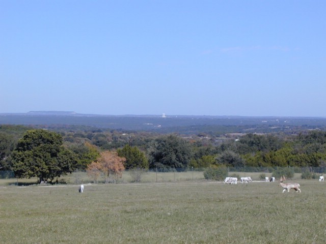 92120040.JPG