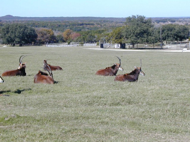92120041.JPG