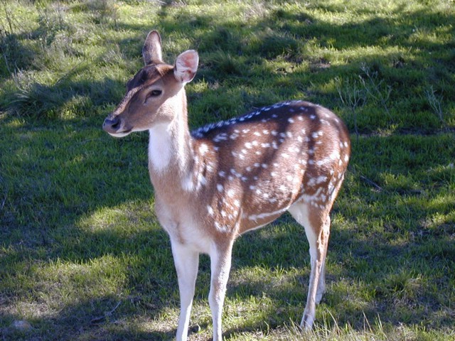 92120051.JPG