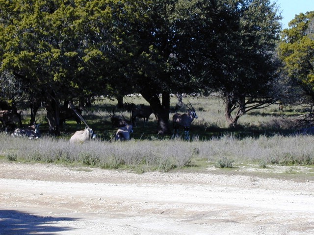 92120065.JPG