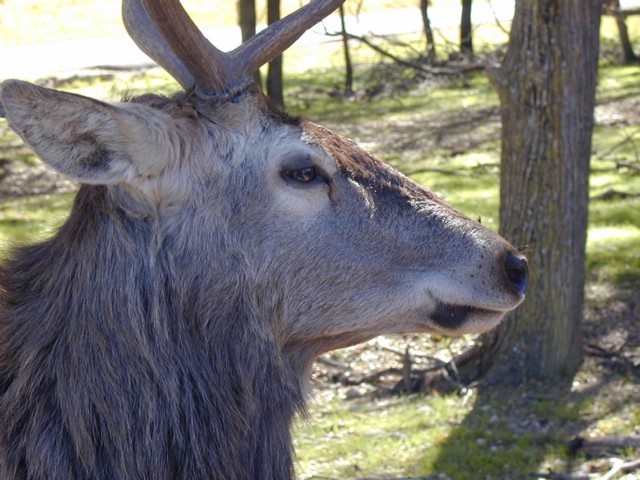 92120067.JPG