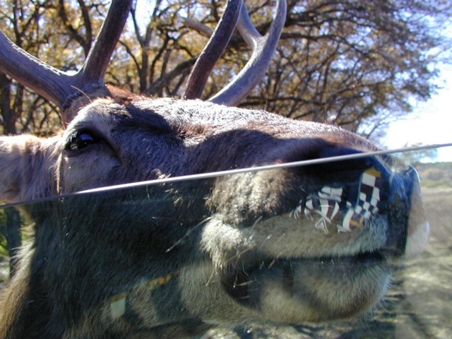 92120068.JPG