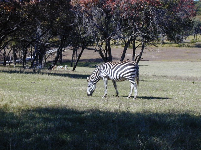 92120079.JPG