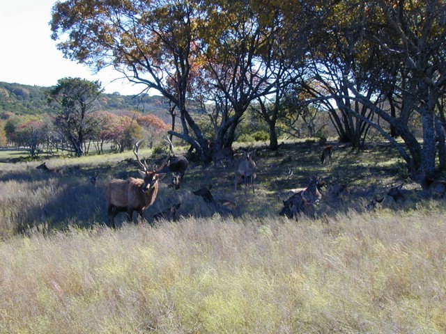 92120091.JPG