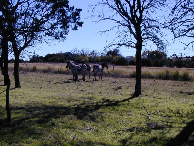 92120092.JPG