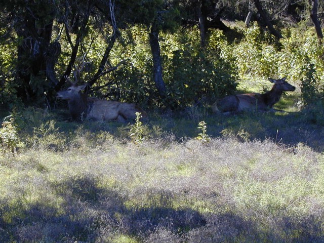 92120102.JPG