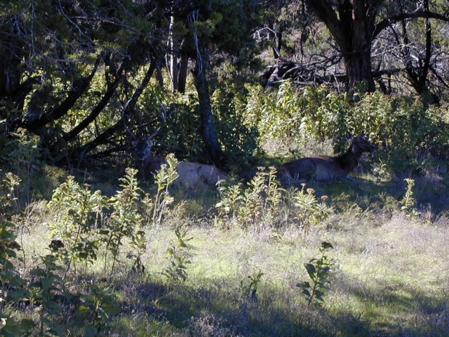 92120104.JPG