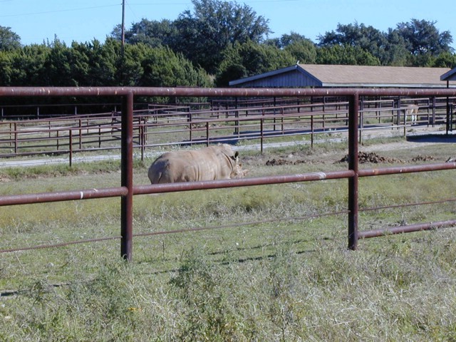 92120105.JPG