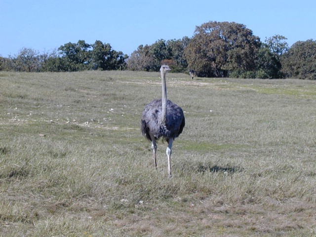 92120106.JPG