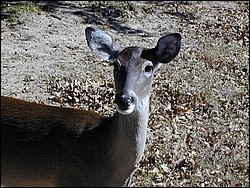 92120011.JPG