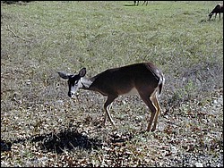 92120012.JPG