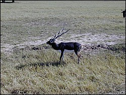 92120023.JPG