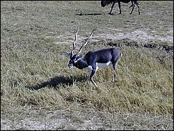92120024.JPG
