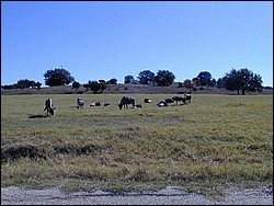 92120026.JPG