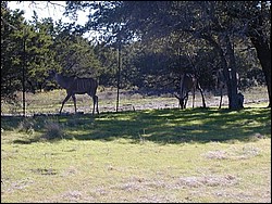 92120031.JPG