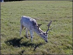 92120039.JPG