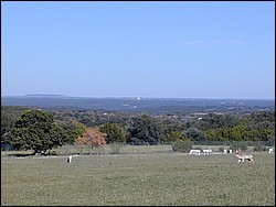 92120040.JPG
