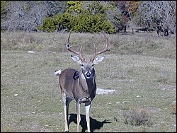 92120049.JPG