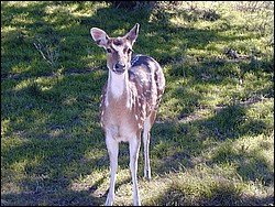 92120050.JPG