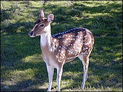92120051.JPG