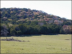 92120060.JPG