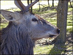 92120067.JPG