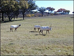 92120071.JPG