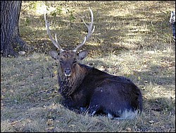 92120074.JPG