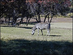 92120079.JPG