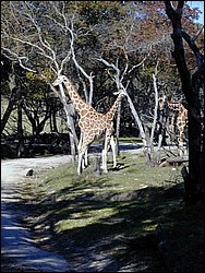 92120086.JPG