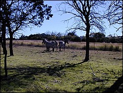 92120092.JPG