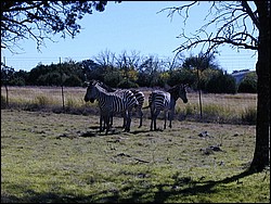 92120093.JPG