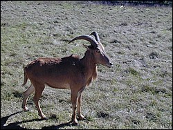 92120095.JPG