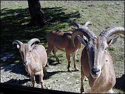 92120096.JPG