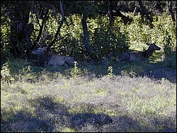 92120102.JPG
