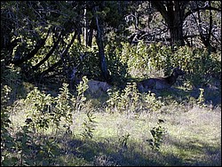 92120104.JPG